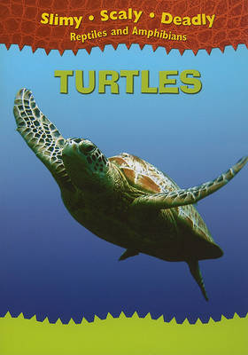 Book cover for Turtles