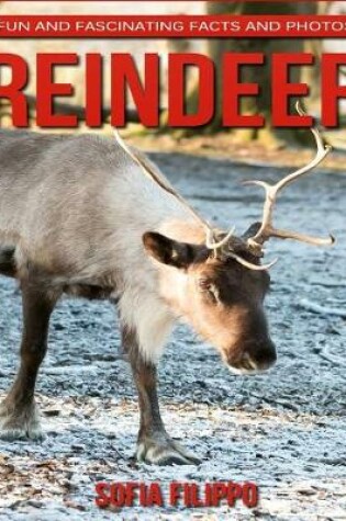 Cover of Reindeer