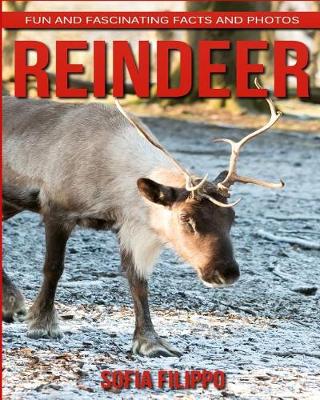 Book cover for Reindeer