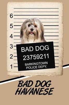 Book cover for Bad Dog Havanese