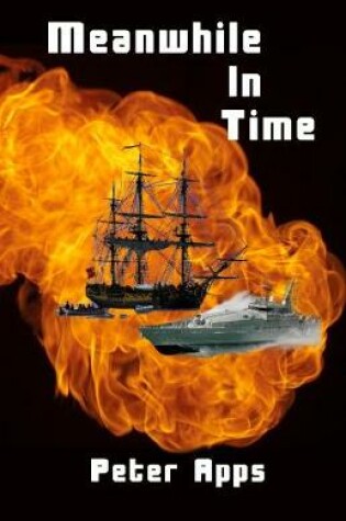 Cover of Meanwhile In Time