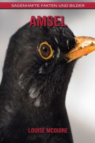 Cover of Amsel