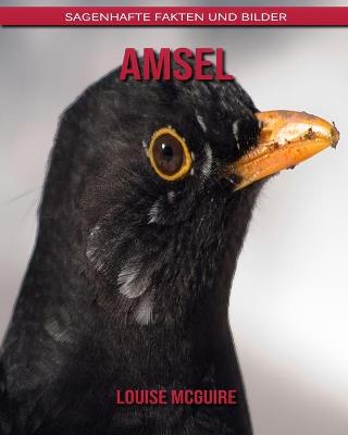 Book cover for Amsel