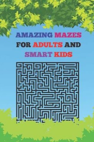 Cover of Amazing Mazes For Adults And Smart Kids