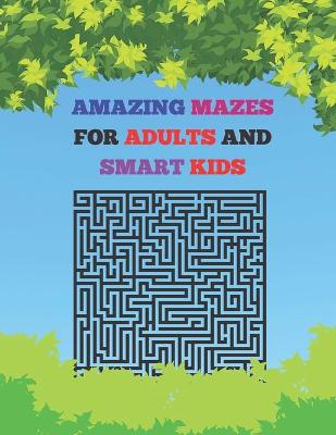 Book cover for Amazing Mazes For Adults And Smart Kids