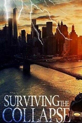 Cover of Surviving the Collapse