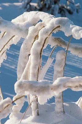 Cover of 2019 Weekly Planner Winter Theme Snow Covered Twigs 134 Pages