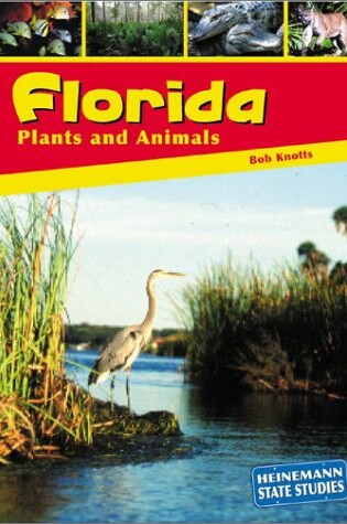 Cover of Florida Plants and Animals