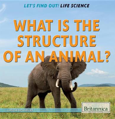 Cover of What Is the Structure of an Animal?