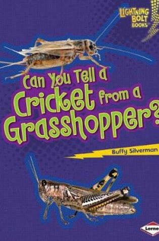 Cover of Can You Tell a Cricket from a Grasshopper?