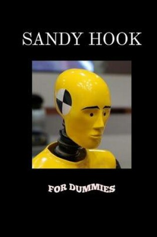 Cover of Sandy Hook for Dummies