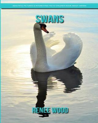 Book cover for Swans