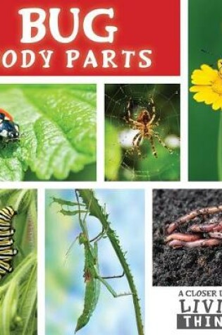 Cover of Bug Body Parts