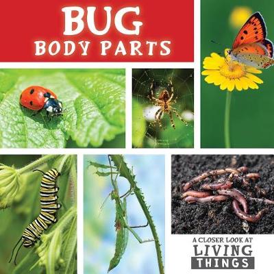 Book cover for Bug Body Parts
