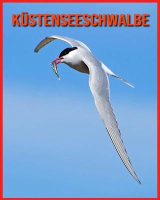 Book cover for Küstenseeschwalbe