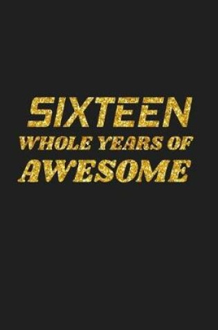 Cover of Sixteen Whole Years Of Awesome