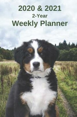 Cover of 2020 & 2021 Weekly Planner - Two Year Appointment Book Gift - Two-Year Agenda Notebook for Bernese Mountain Dog Puppy Owners