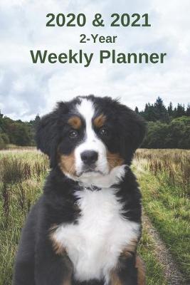 Book cover for 2020 & 2021 Weekly Planner - Two Year Appointment Book Gift - Two-Year Agenda Notebook for Bernese Mountain Dog Puppy Owners