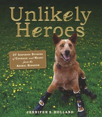 Book cover for Unlikely Heroes