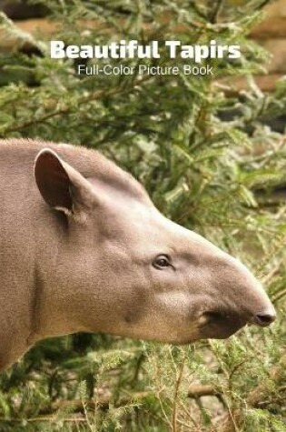 Cover of Beautiful Tapirs Full-Color Picture Book