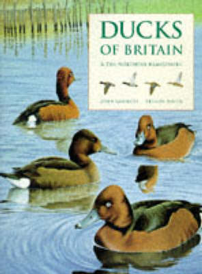 Book cover for Ducks of Britain and the Northern Hemisphere