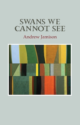 Book cover for Swans We Cannot See