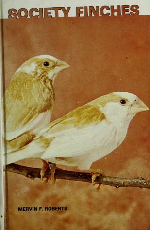 Book cover for Society Finches