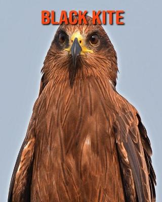 Book cover for Black kite