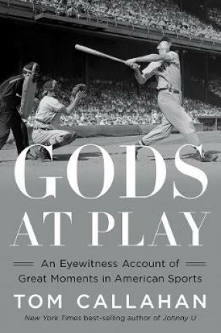 Cover of Gods at Play