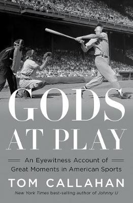 Book cover for Gods at Play