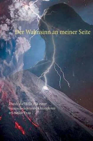 Cover of Der Wahnsinn an Meiner Seite