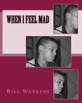 Book cover for When I Feel Mad