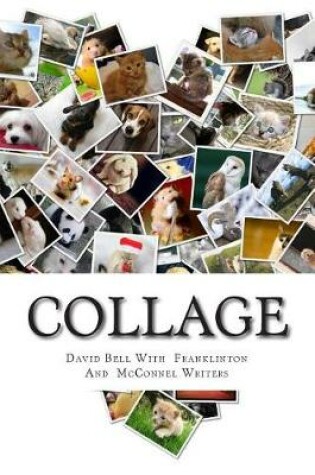 Cover of Collage