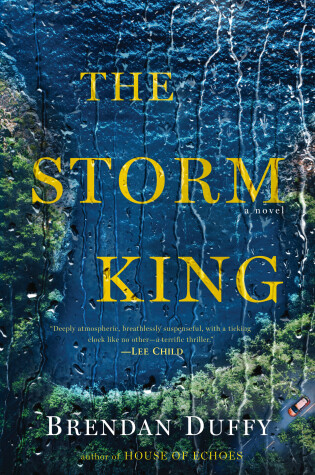 Cover of The Storm King