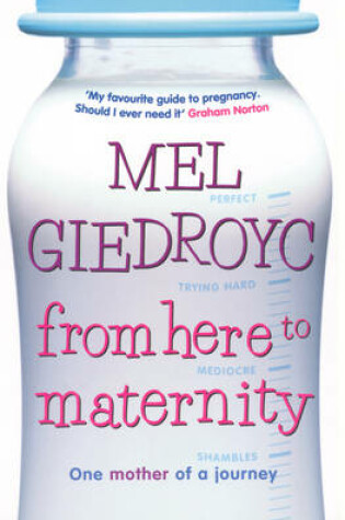 Cover of From Here To Maternity