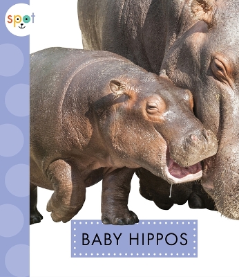 Cover of Baby Hippos