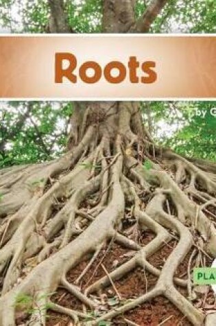 Cover of Roots