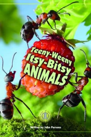 Cover of Teeny-Weeny Itsy-Bitsy Animals