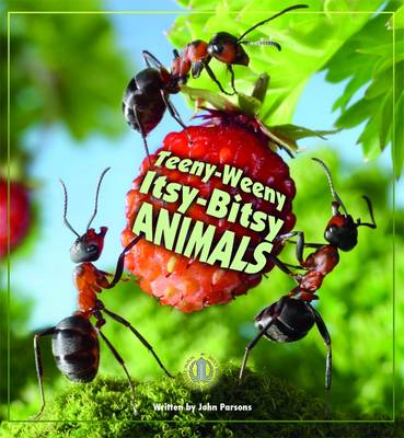 Cover of Teeny-Weeny Itsy-Bitsy Animals