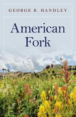 Book cover for American Fork