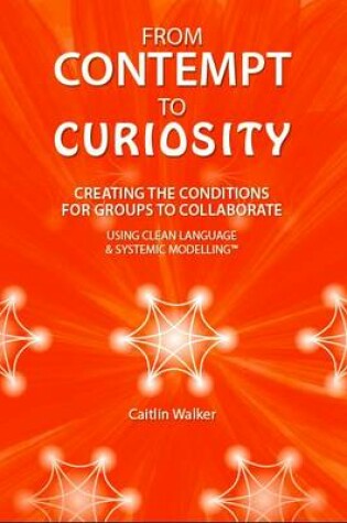 Cover of From Contempt to Curiosity