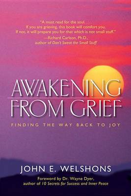 Book cover for Awakening from Grief