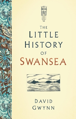 Book cover for The Little History of Swansea