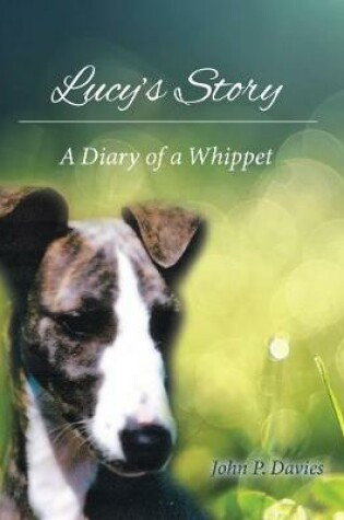 Cover of Lucy's Story