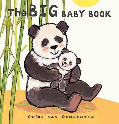 Book cover for The Big Baby Book