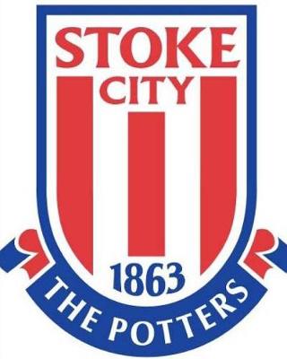 Book cover for Stoke City F.C.Diary