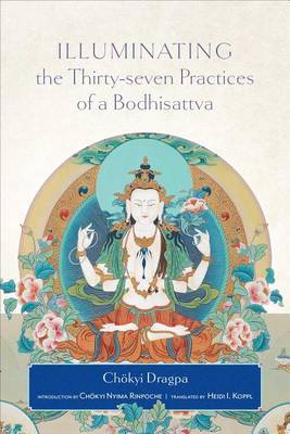 Book cover for Illuminating the Thirty-Seven Practices of a Bodlhisattva