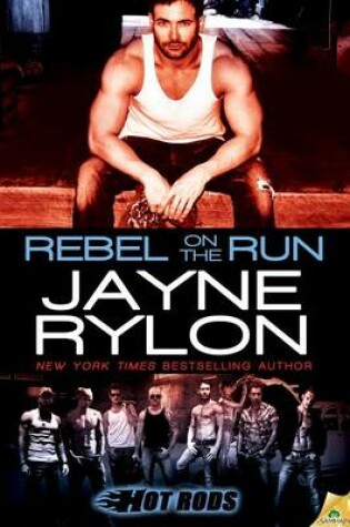 Cover of Rebel on the Run
