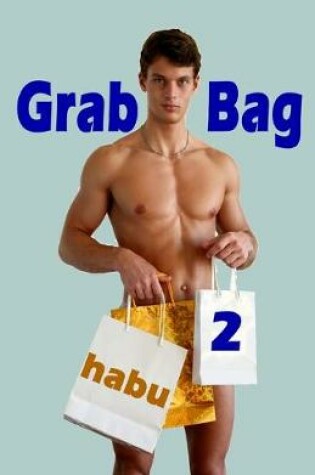Cover of Grab Bag 2