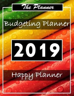 Book cover for Budgeting Planner 2019